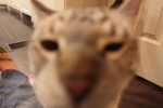 resIMG_20161111_200356_6542.JPG